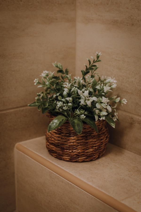 Dozsa Apartman แซแก็ด ภายนอก รูปภาพ